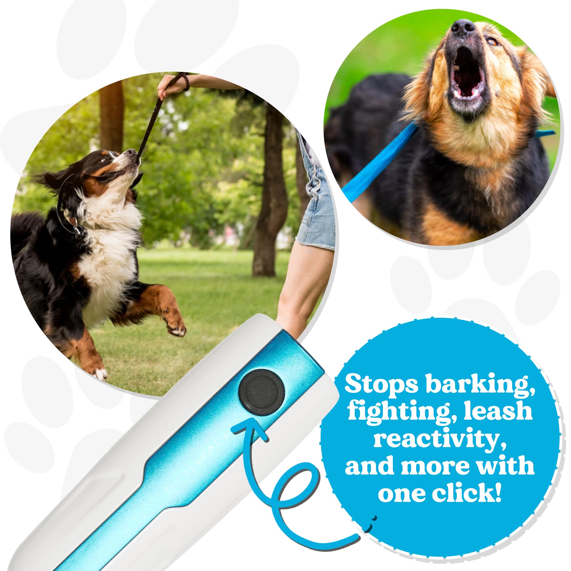Doggie Don't device in action deters off-leash dogs during walks.