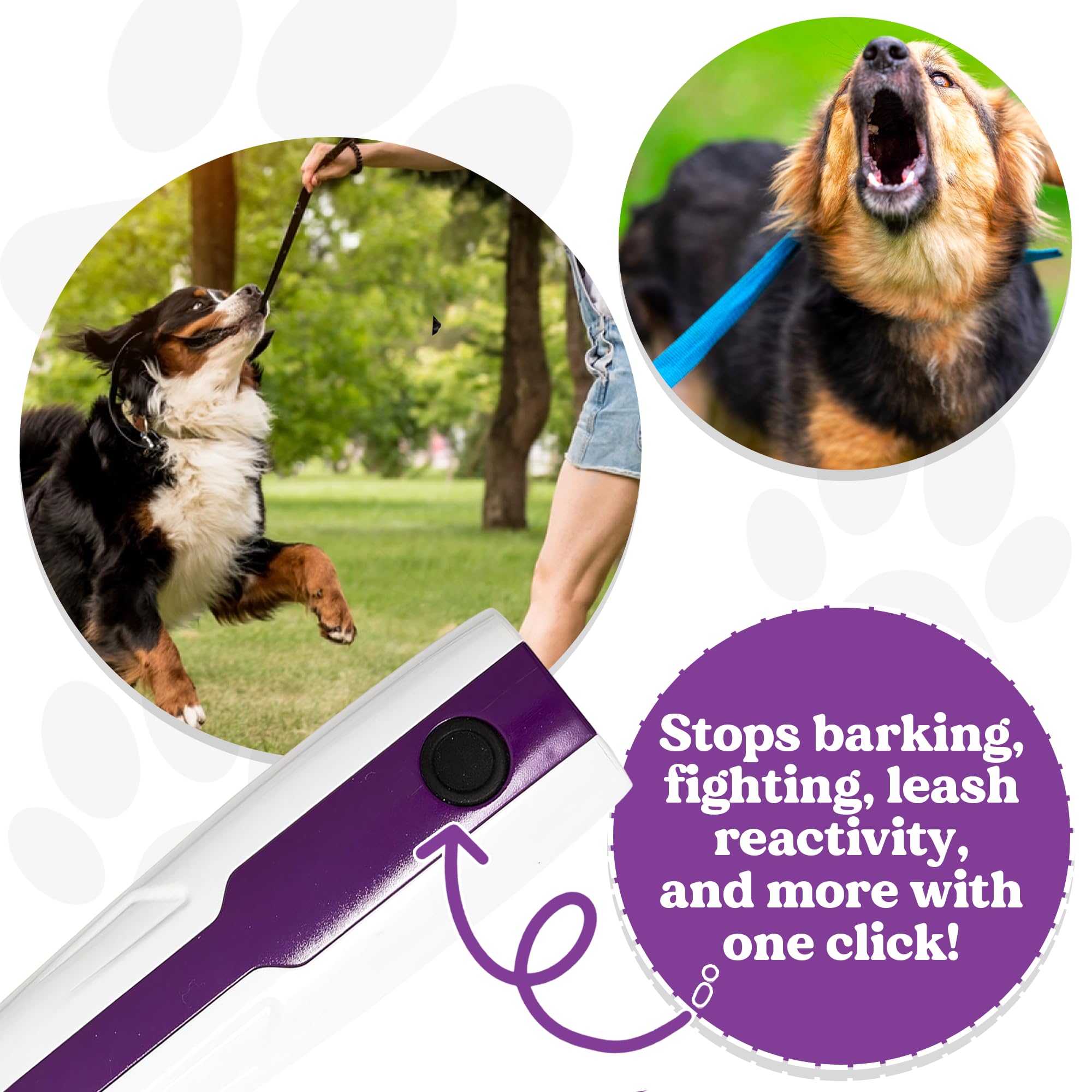 Doggie Don’t rechargeable battery keeps training on the go.