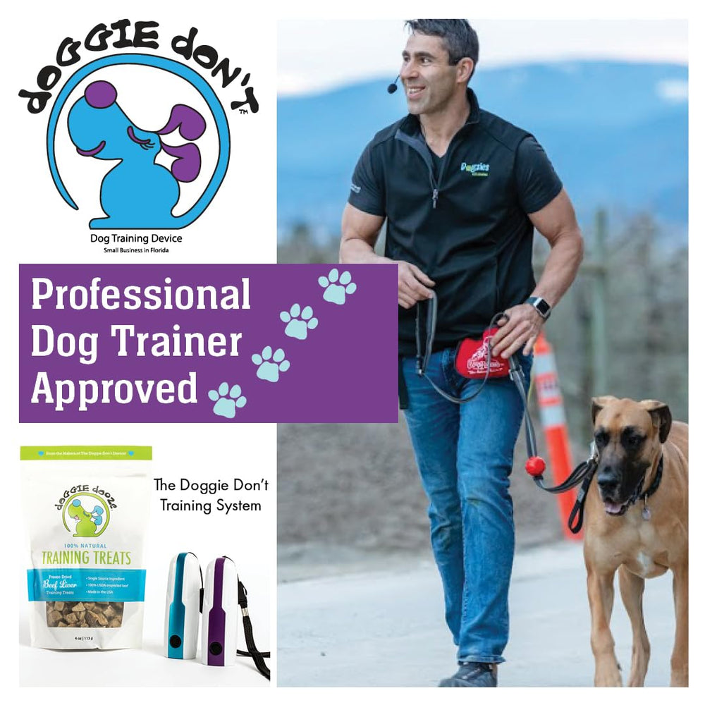 Doggie Don’t safe, non-punitive approach supports calmer, controlled walks.
