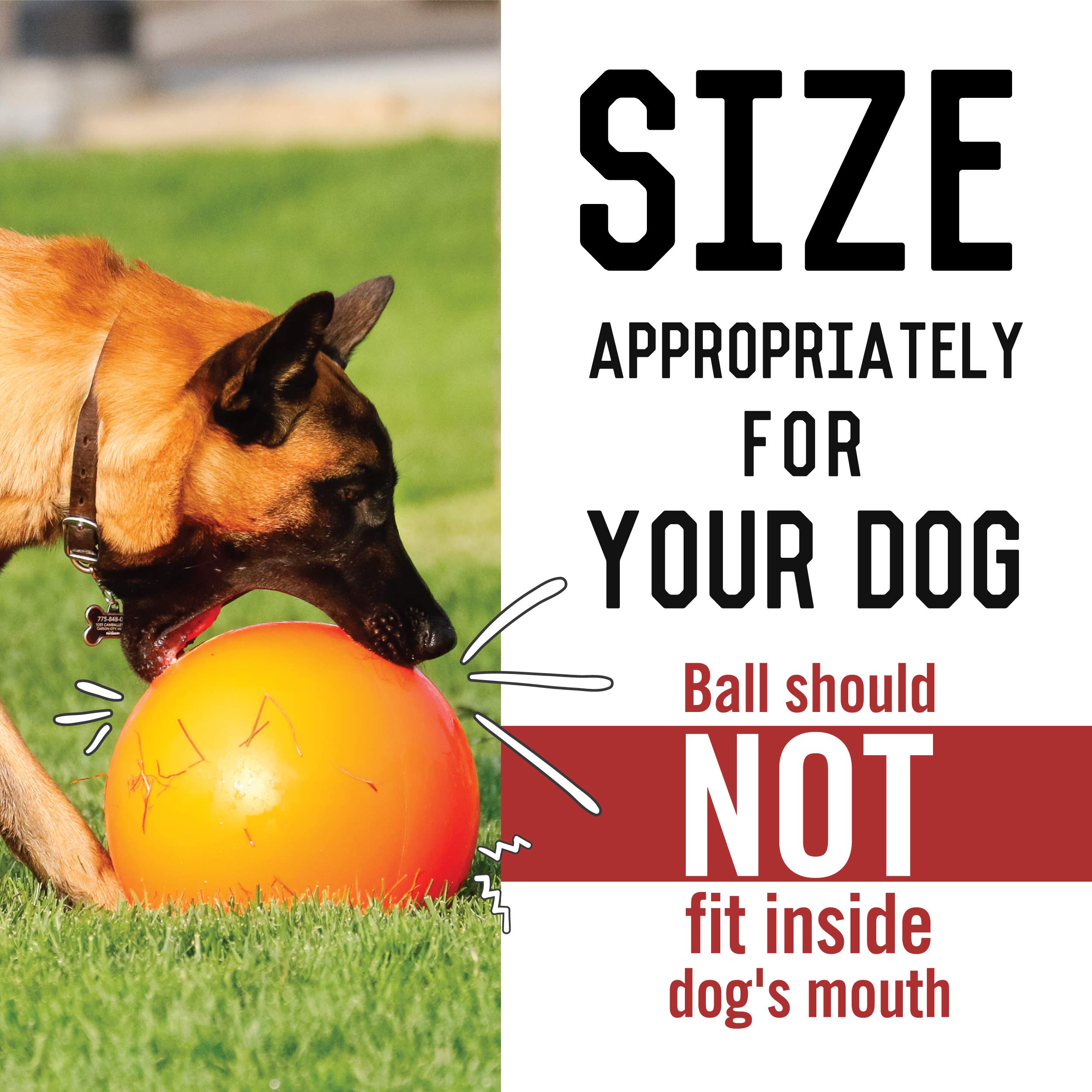 Doggie Dooley 8-inch blue ball suited for yard herding play.