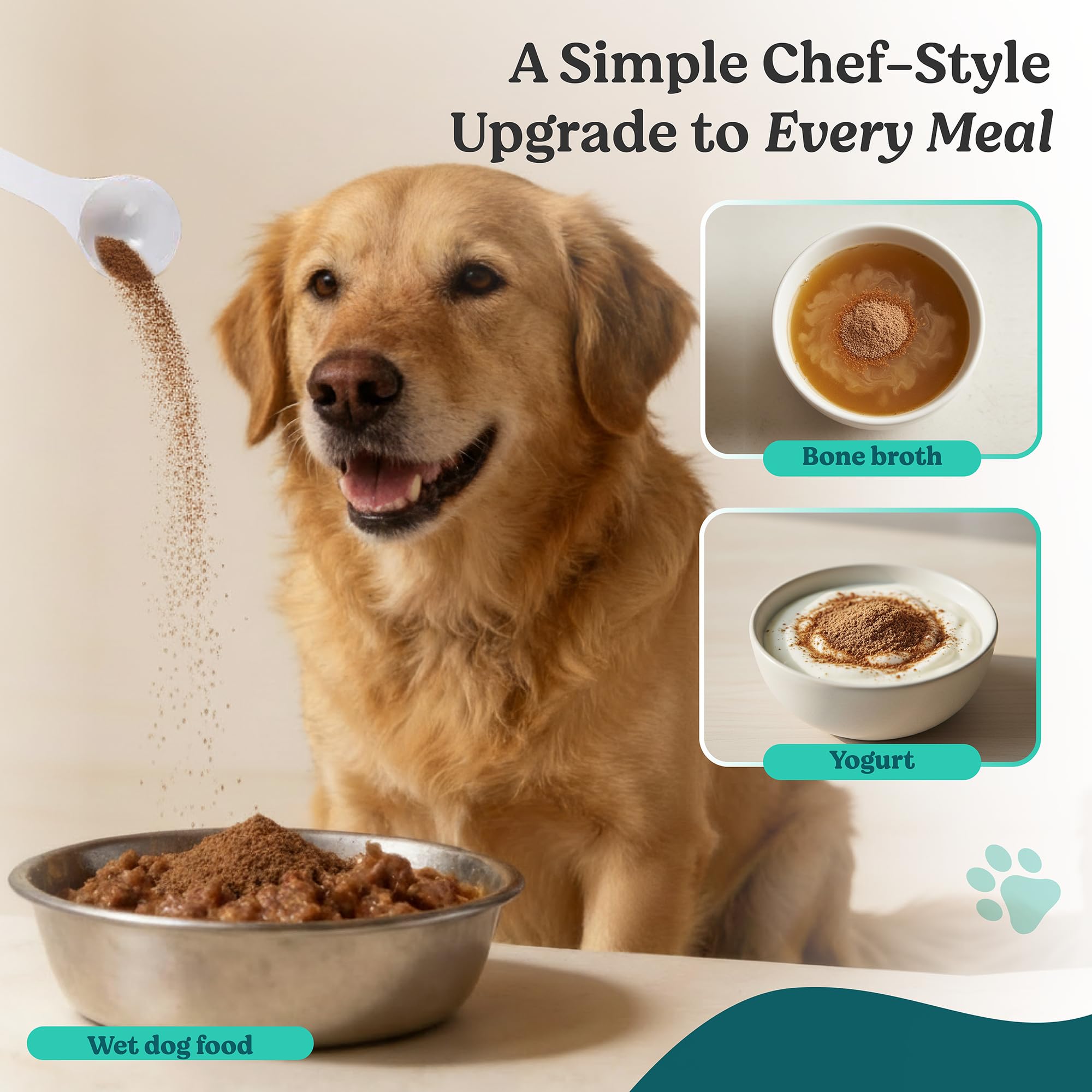 Happy dog after supplementation with Doggie Herbs during daily activities.