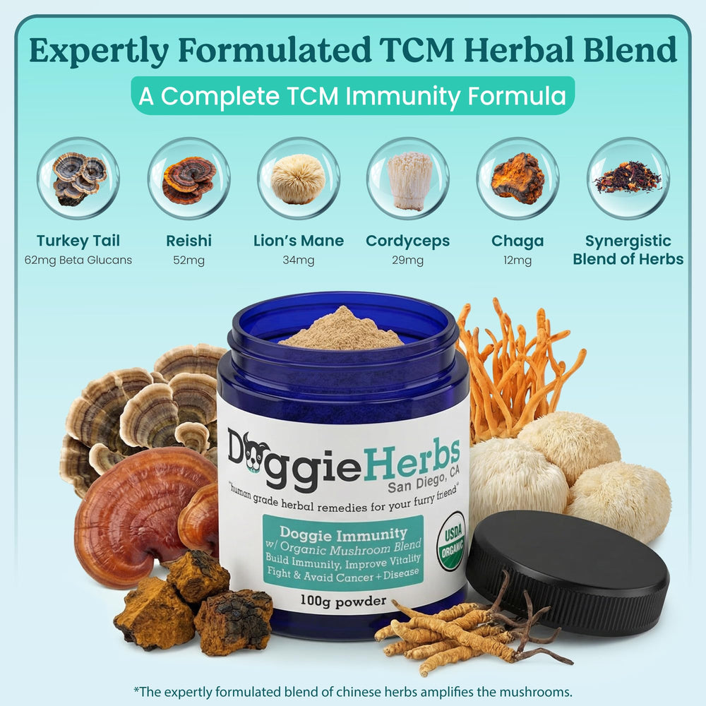 Doggie Herbs High Potency Immune mixed into wet food for easy serving.