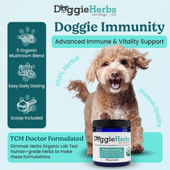 Doggie Herbs High Potency Immune powder texture highlights dense clinical dose.