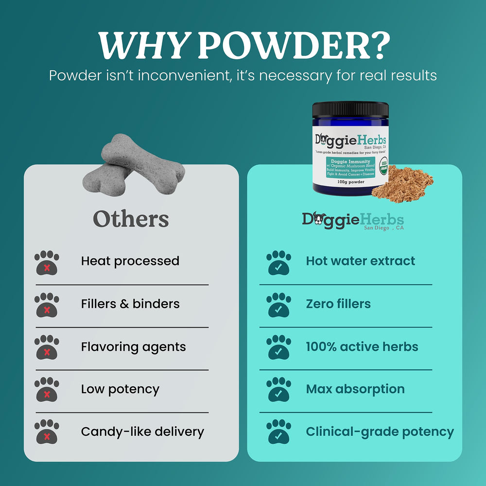 Doggie Herbs High Potency Immune doctor formulated with Ginseng and Astragalus for recovery support.
