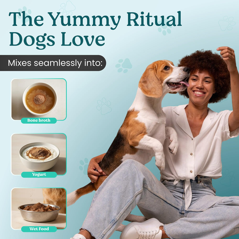 Doggie Herbs High Potency Immune mushrooms like Turkey Tail and Reishi aid immune function.