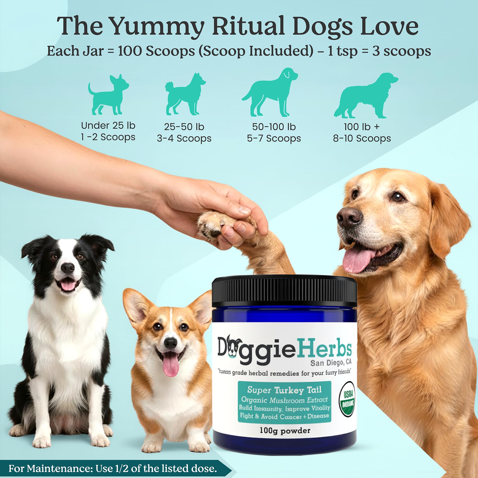 Doggie Herbs powder being stirred into dog wet food for easy use
