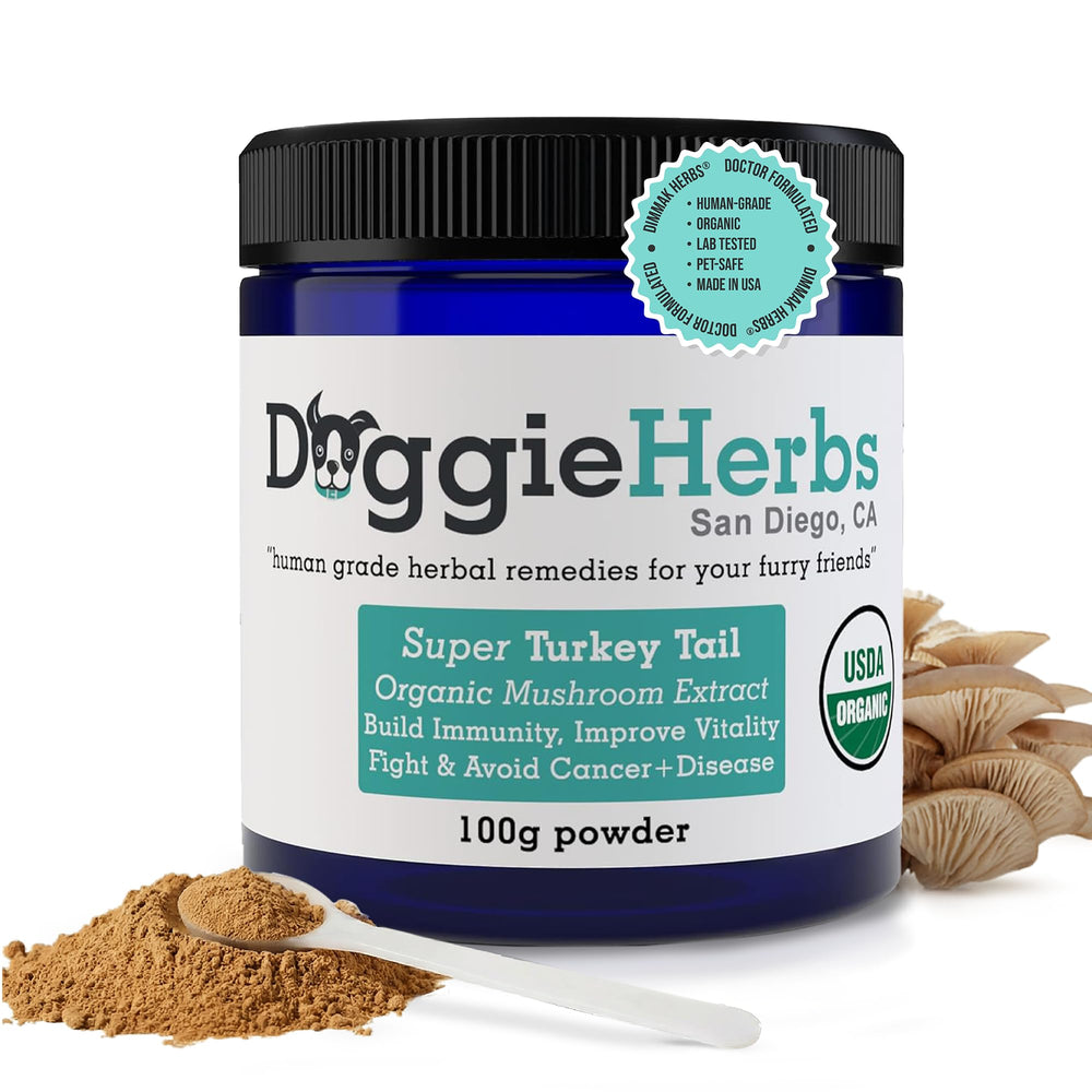 Doggie Herbs Turkey Tail powder bottle offering potent canine immune support