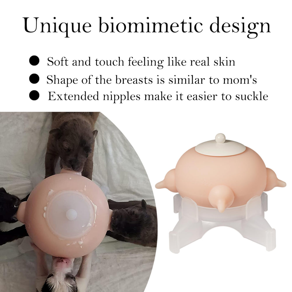 Doggiema base elevates the feeder for comfortable feeding