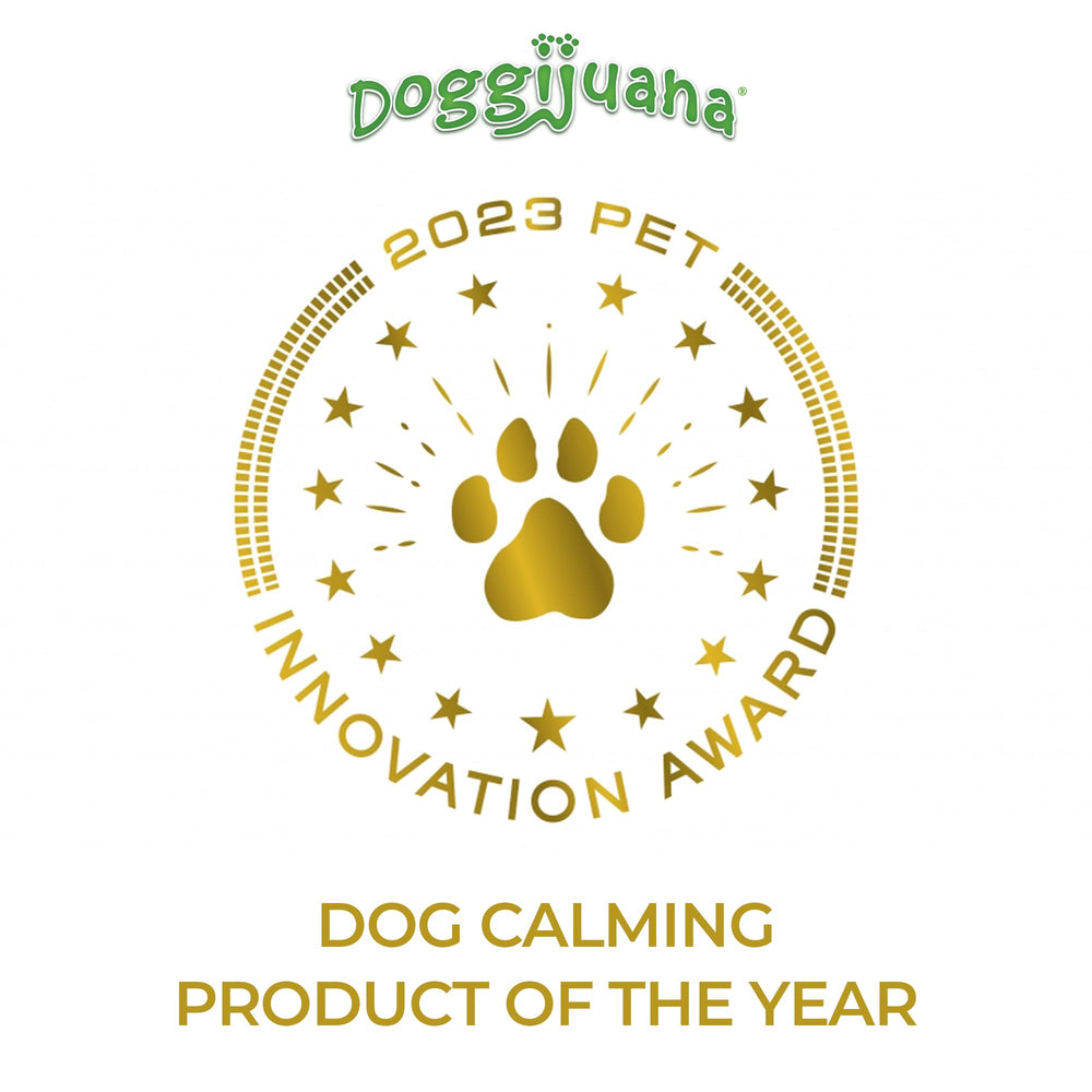 Dog enjoying scent-driven enrichment with a Doggijuana toy and catnip