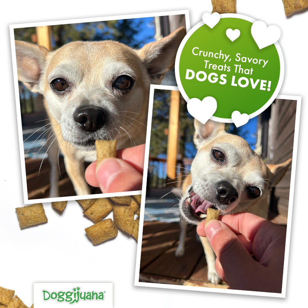 Doggijuana ingredients list closeup with natural, corn-free formula