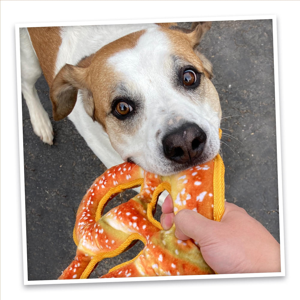 Doggijuana plush toy designed for snuggling and calming moments