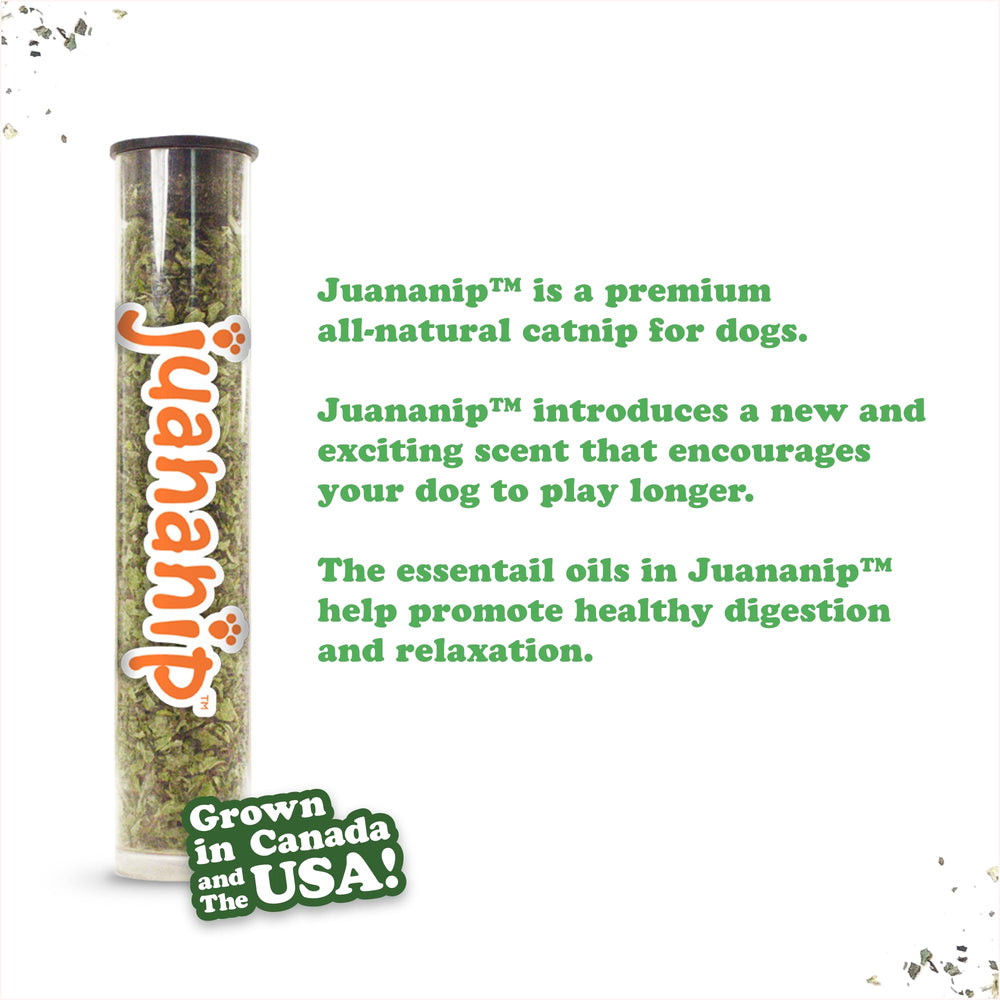 Doggijuana Tuffer interactive plush invites sniffing and extended play