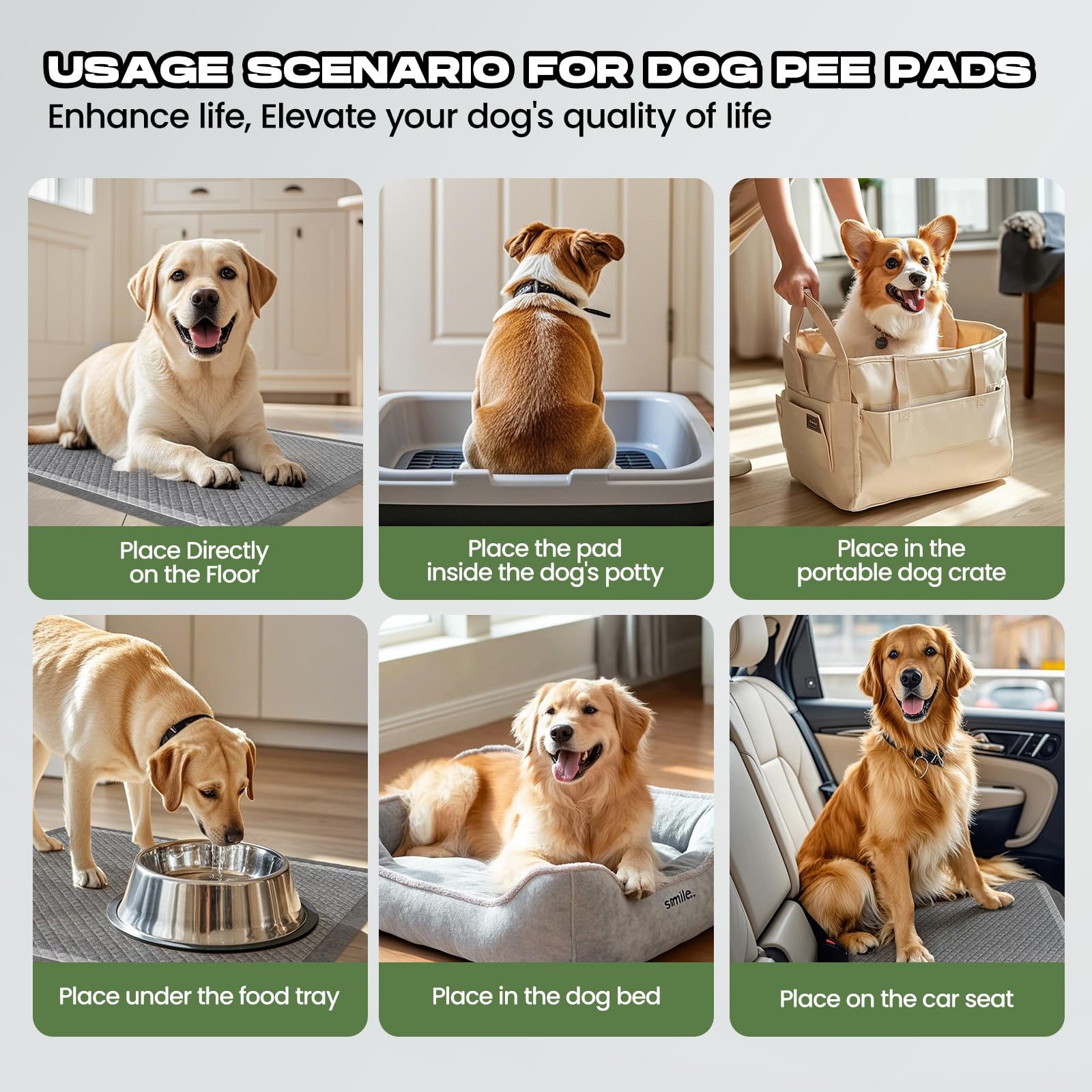 DOGGO DOUG adhesive tabs keep pads secure during training