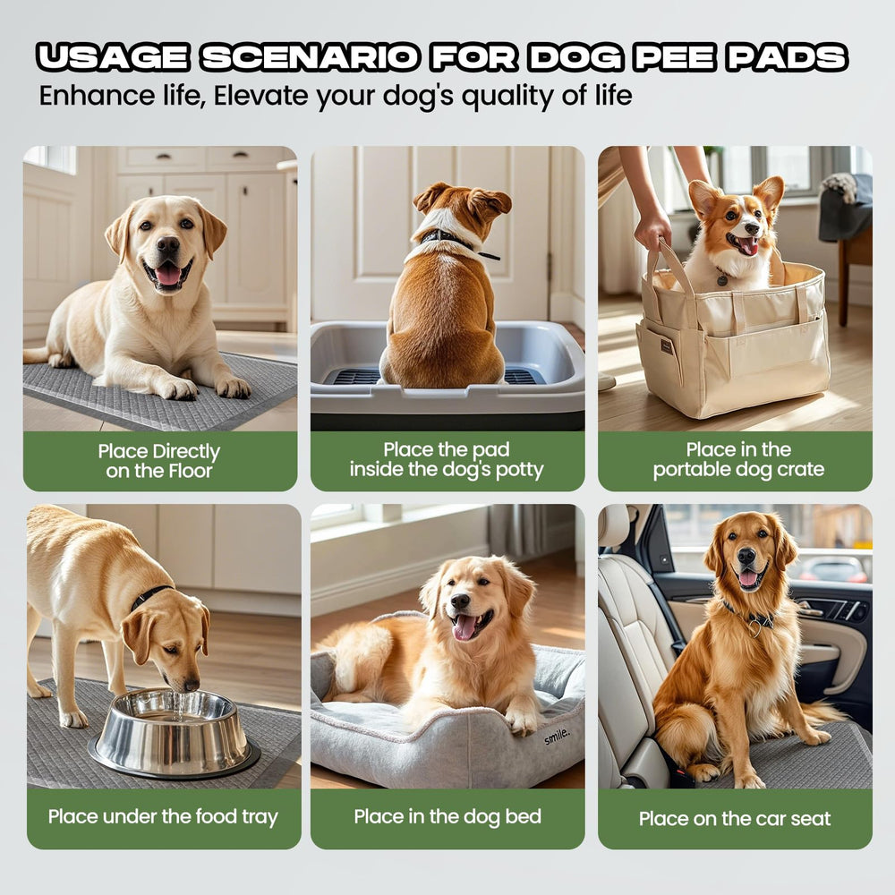 DOGGO DOUG adhesive tabs keep pads secure during training