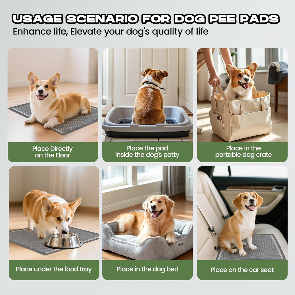 Doggo Doug Charcoal Puppy Pad suits puppies, kittens, rabbits, and more.