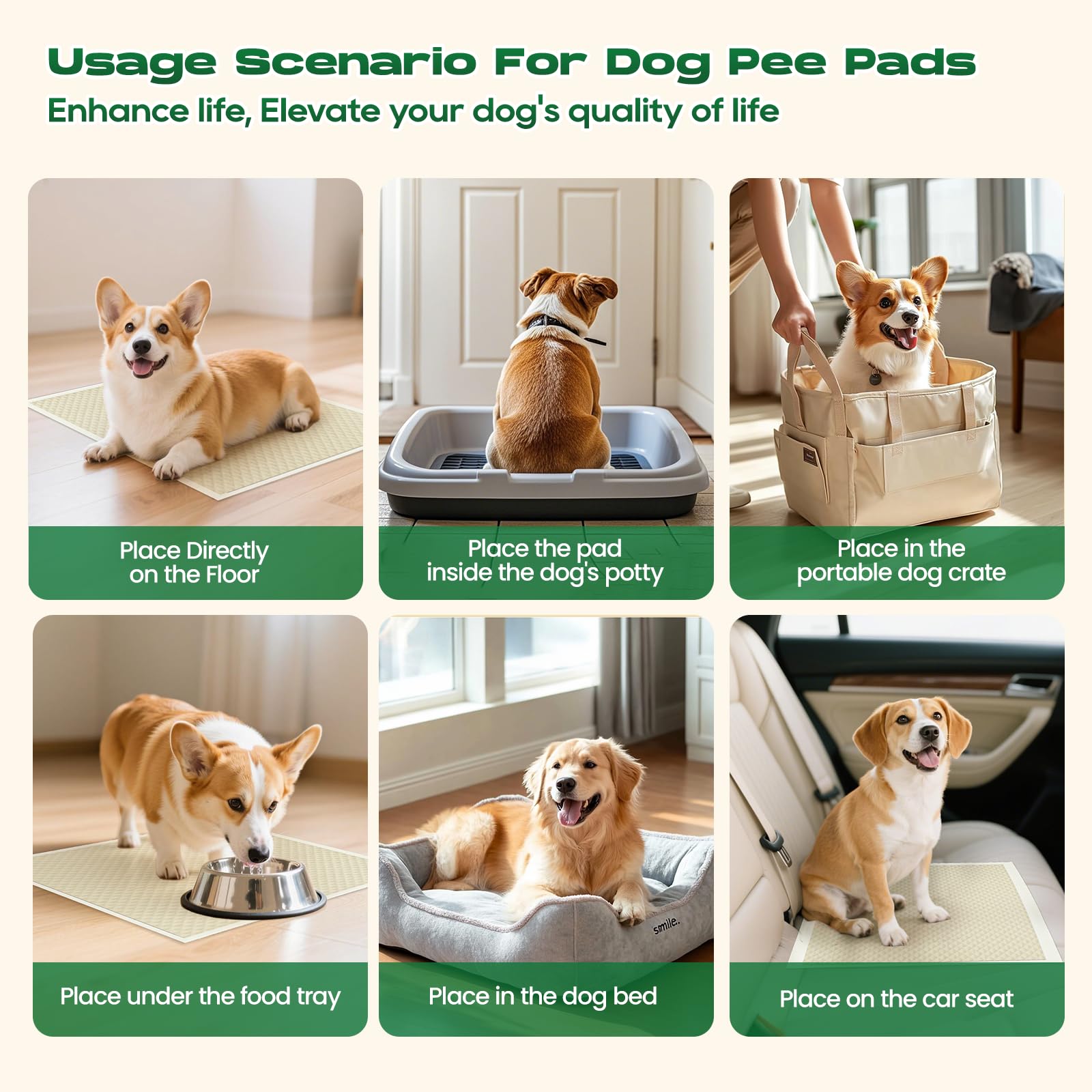 DOGGO DOUG versatile pads suitable for puppies, cats, and small pets
