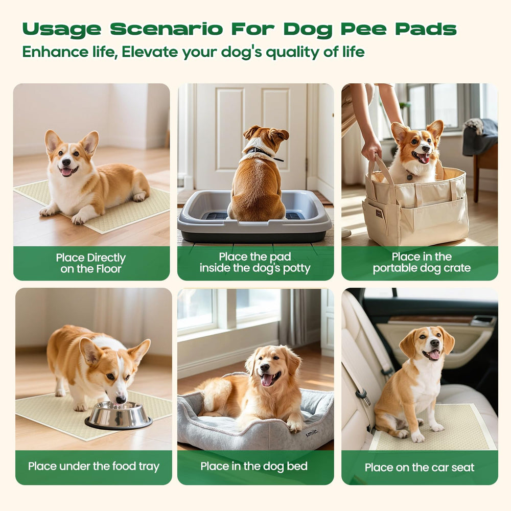 DOGGO DOUG versatile pads suitable for puppies, cats, and small pets