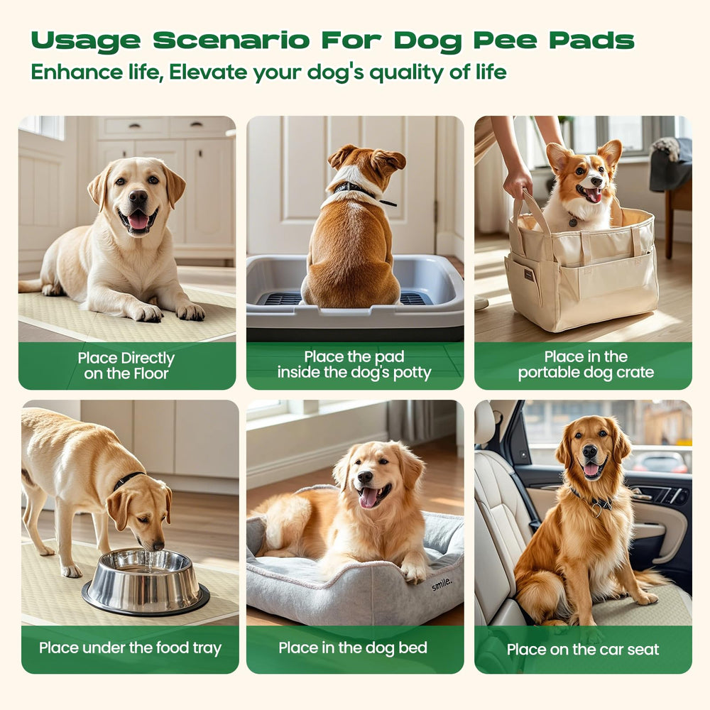 DOGGO DOUG wide training pad provides generous space for puppies