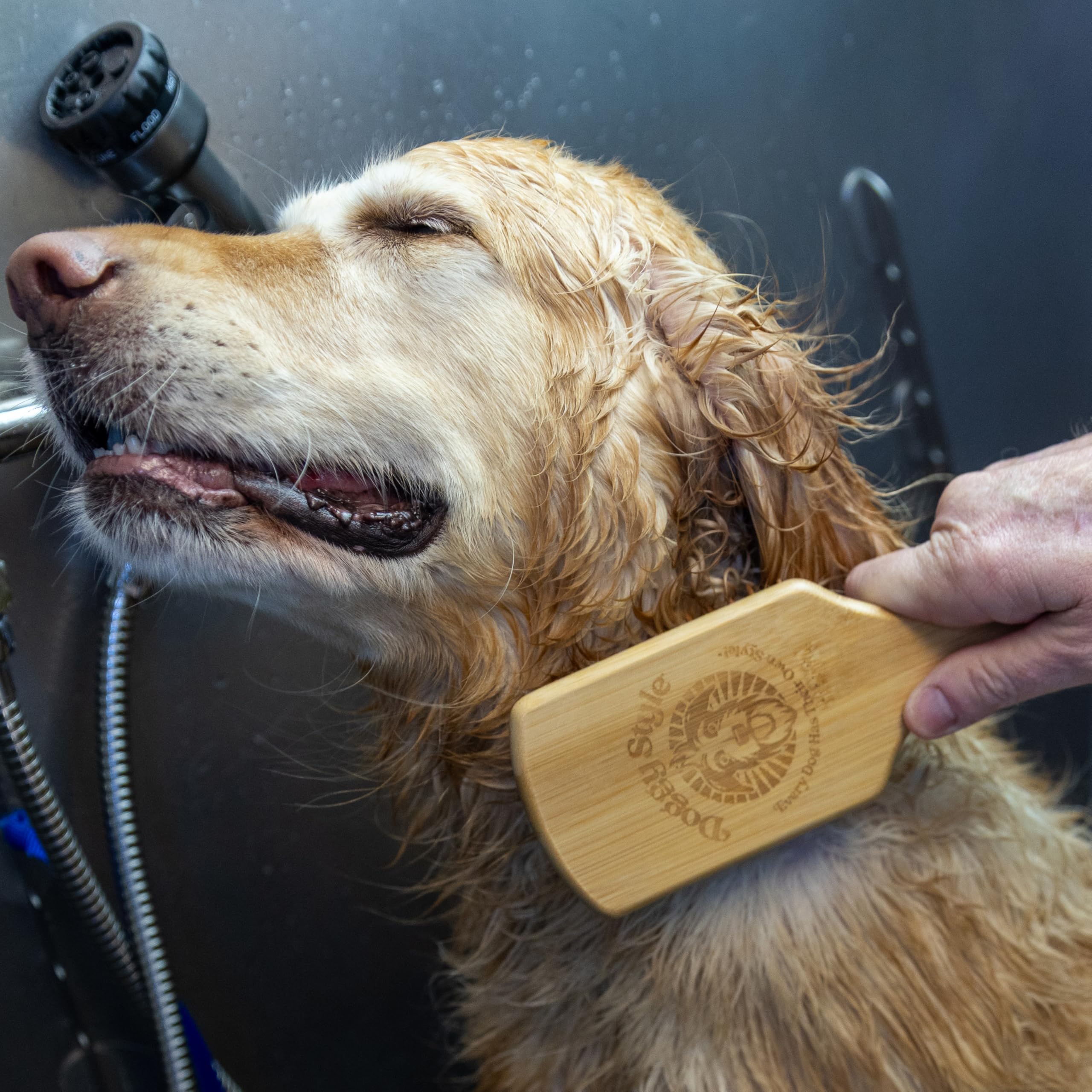 Doggy Style Bamboo Dog Brush plastic-free design using bamboo and rubber