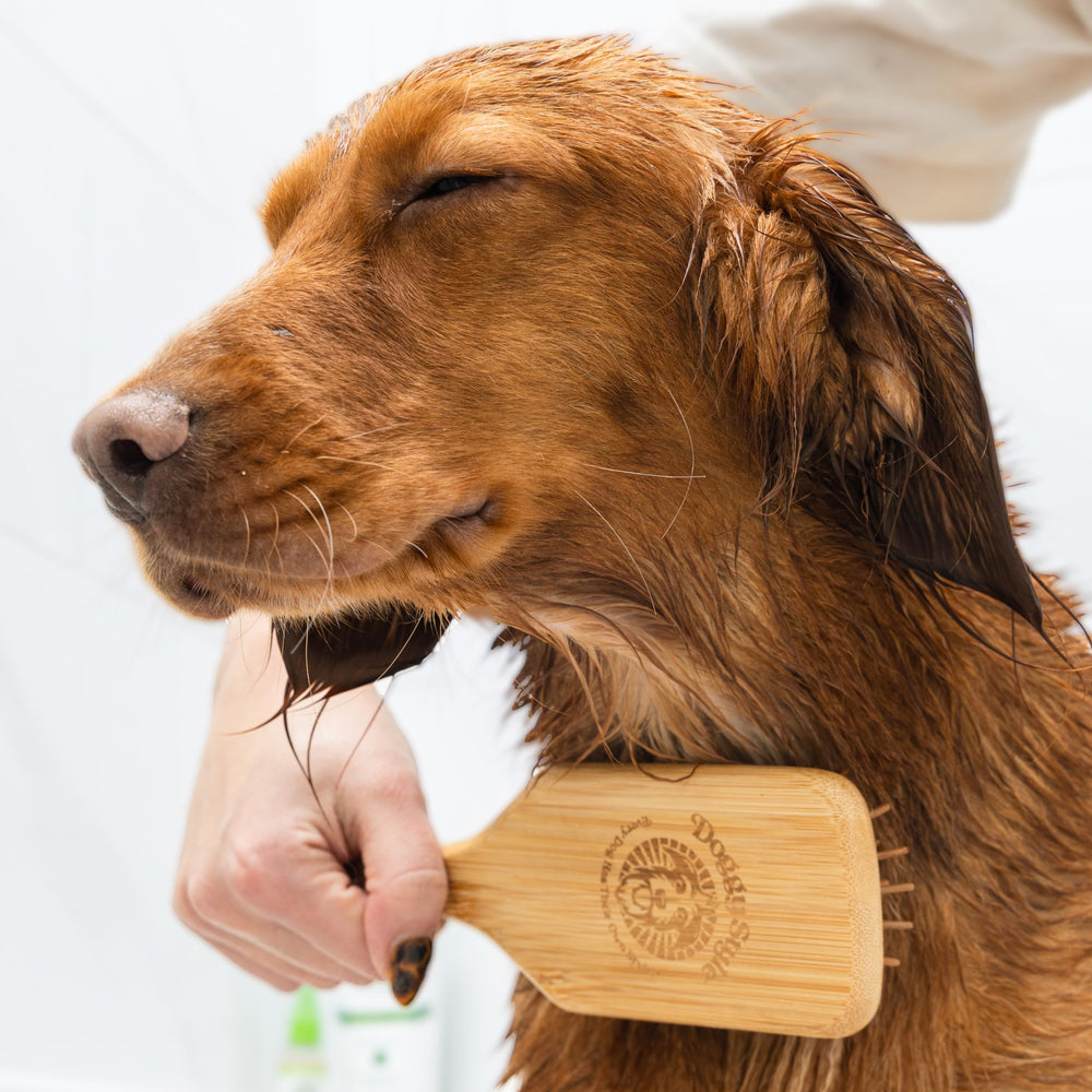 Doggy Style Bamboo Dog Brush wide 9.5 inch head for faster grooming