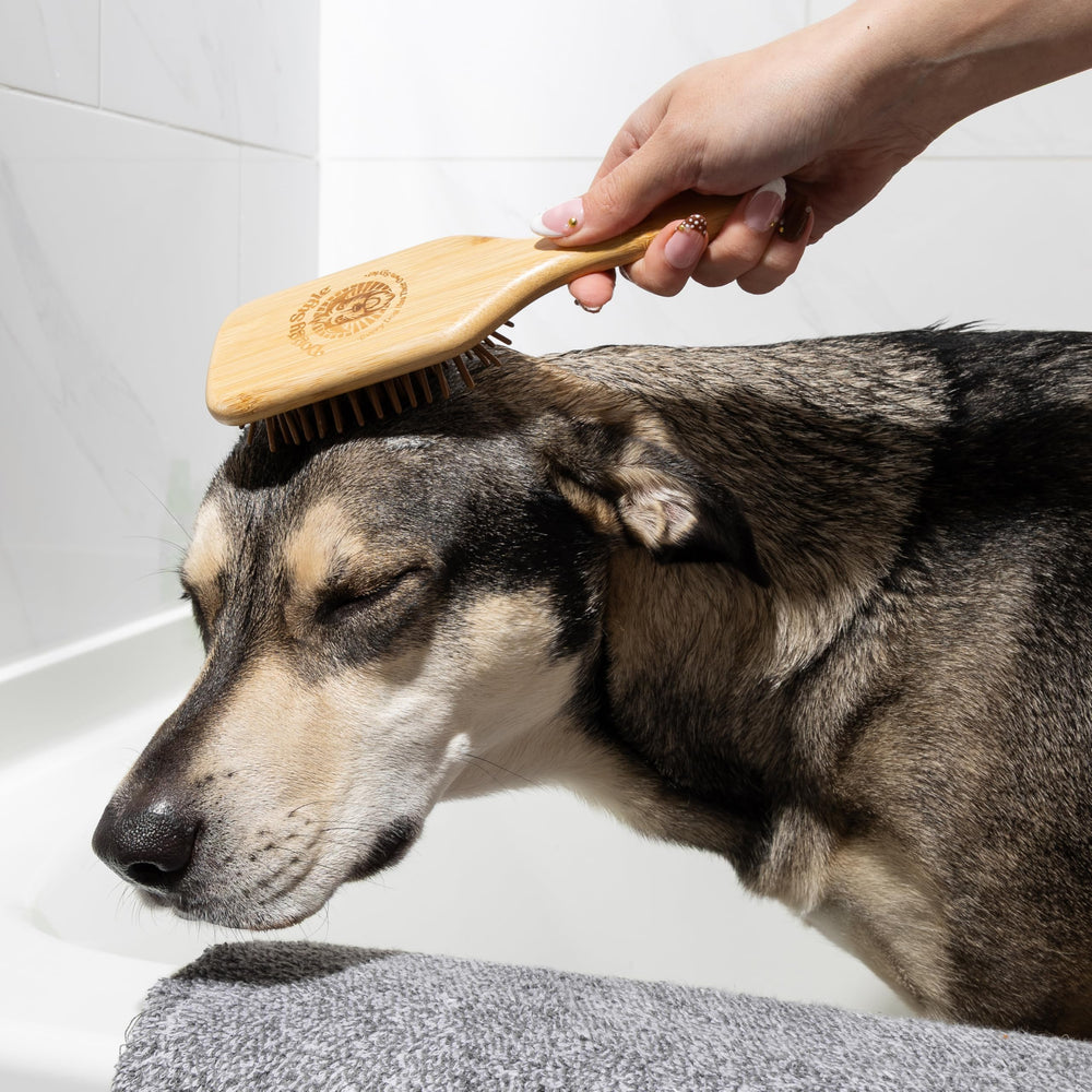 Doggy Style Small Bamboo Dog Brush in home grooming routine demonstrates tangle prevention.