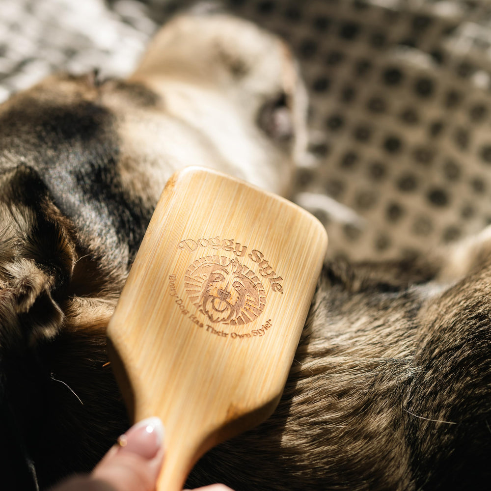 Doggy Style Small Bamboo Dog Brush packaging highlights sustainable materials for eco-friendly care.