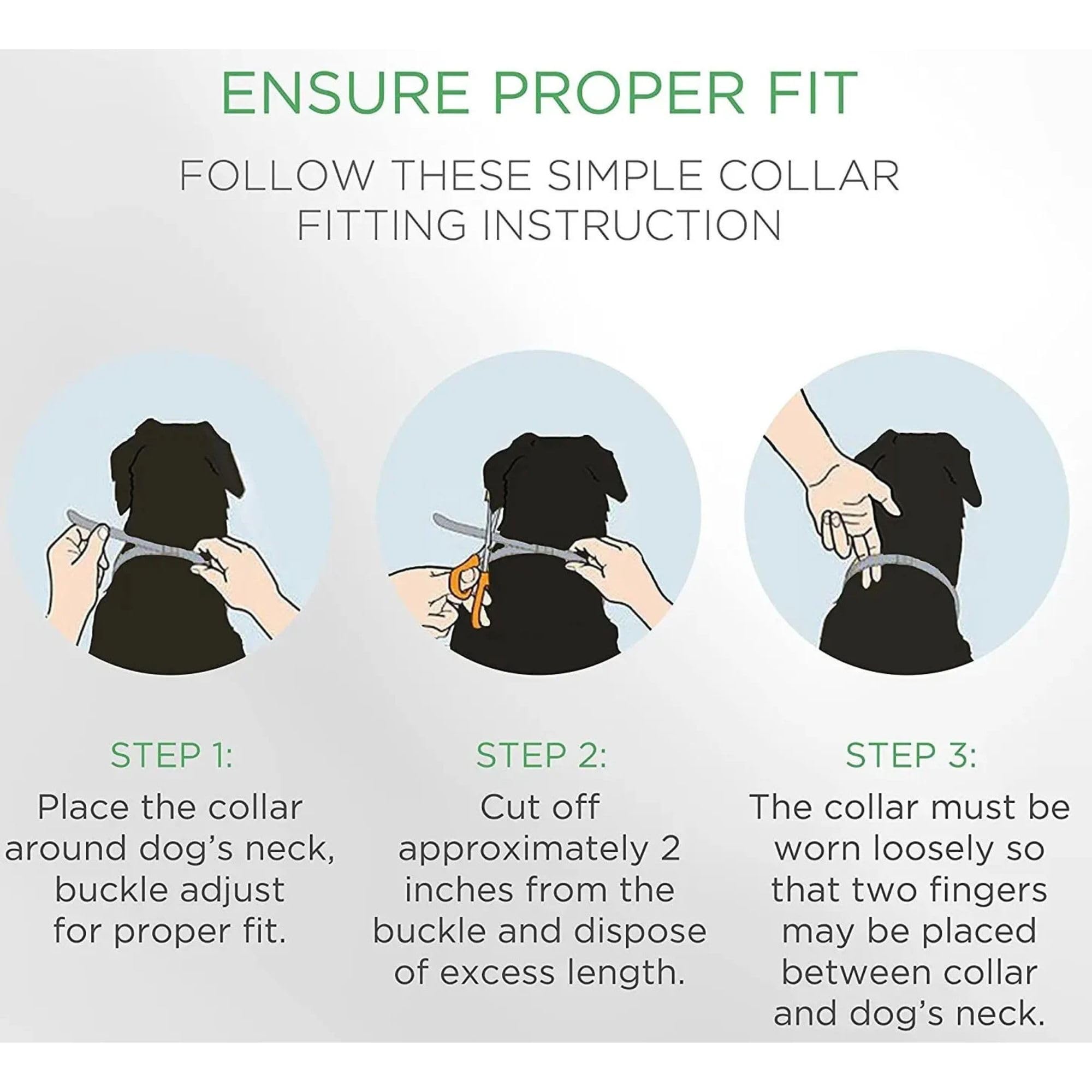 Doggy's Dinner adjustable collar on a medium dog for a secure, comfortable fit.