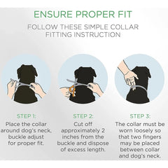Doggy's Dinner adjustable collar on a medium dog for a secure, comfortable fit.