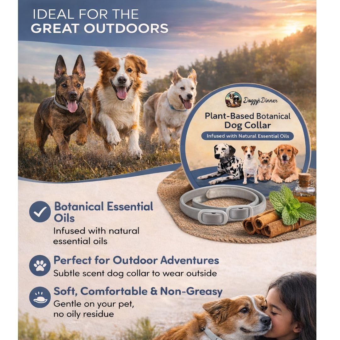 Doggy's Dinner plant-based collar suited for flea-prone environments without topical treatments.