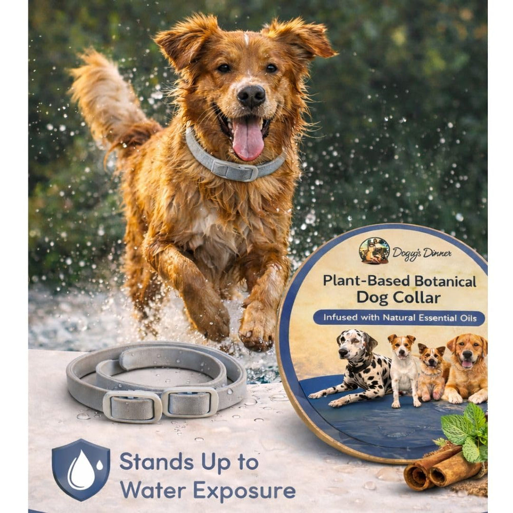 Doggy's Dinner long-lasting collar supports up to eight months of wear.