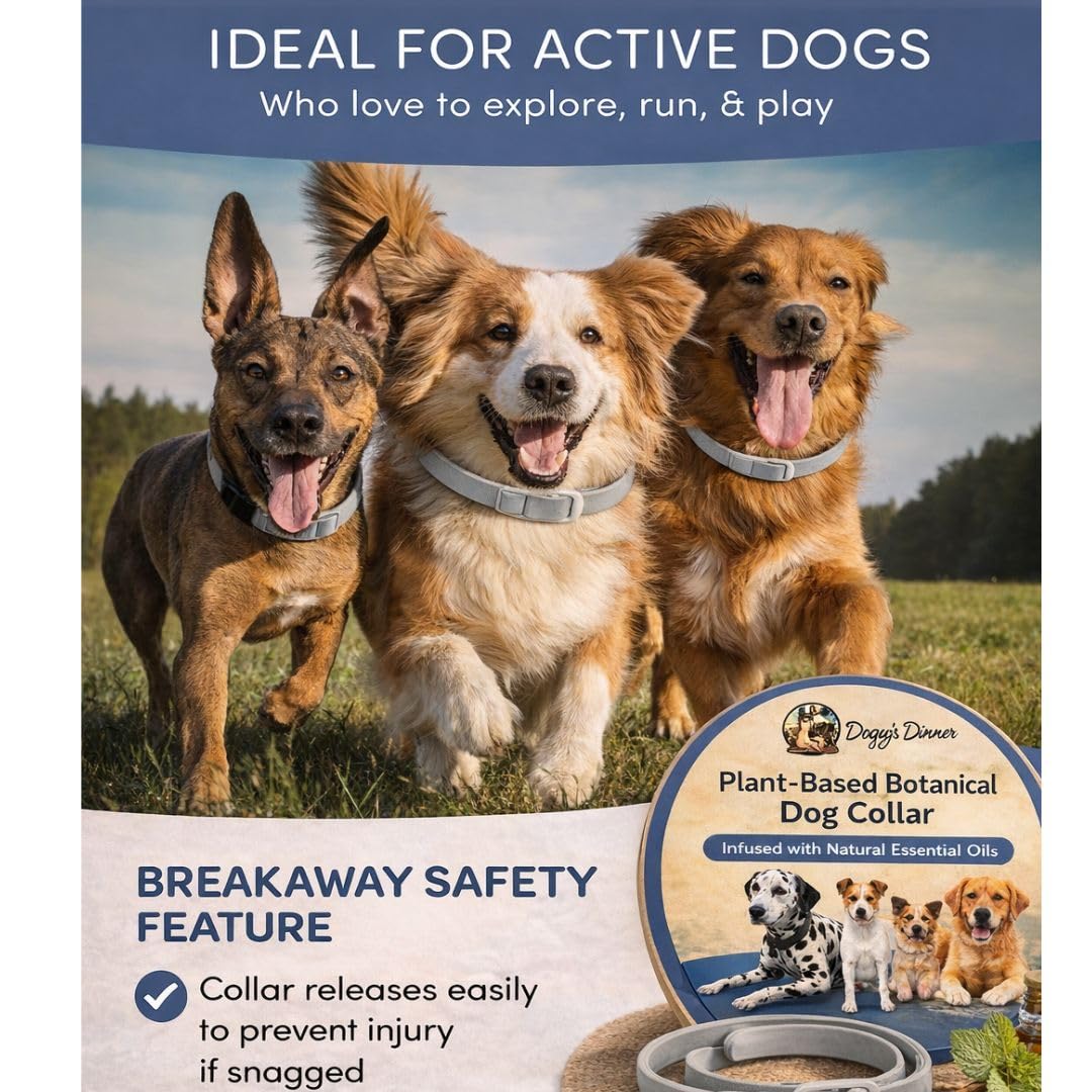 Doggy's Dinner safety release collar disengages if snagged during adventures.