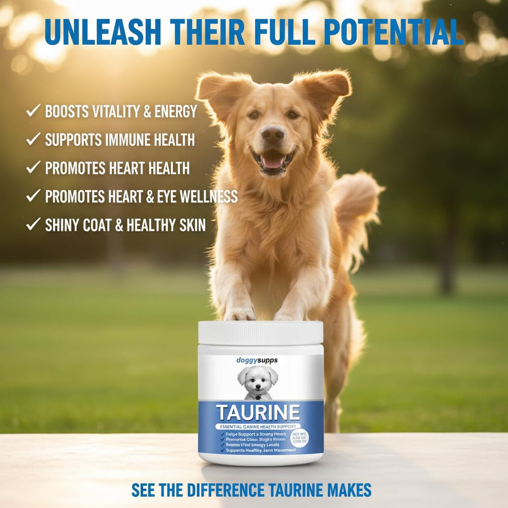 DoggySupps Taurine powder dispensing into dog food supports energy.