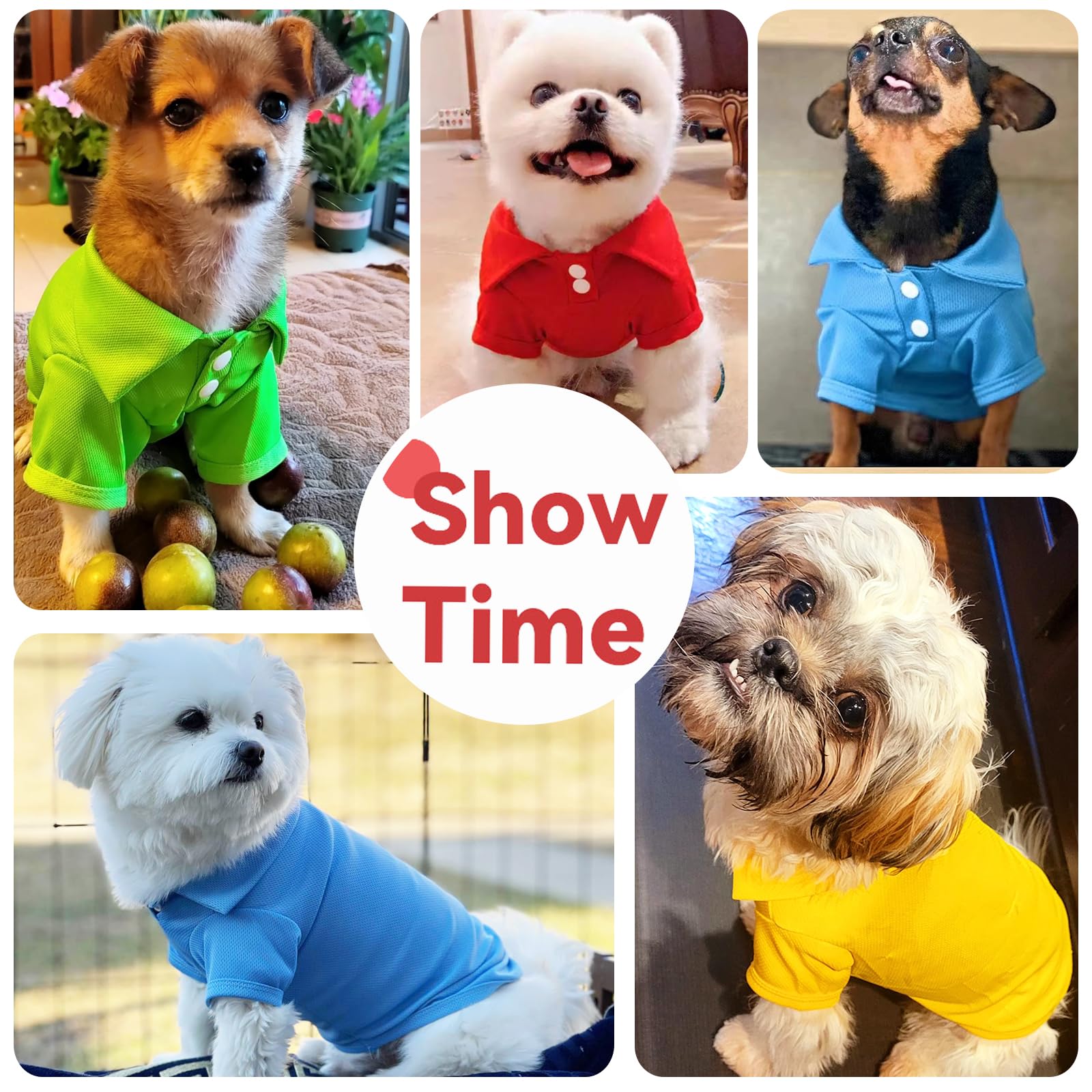 DOGGYZSTYLE four-pack pet shirts ideal for coordinating outfits.