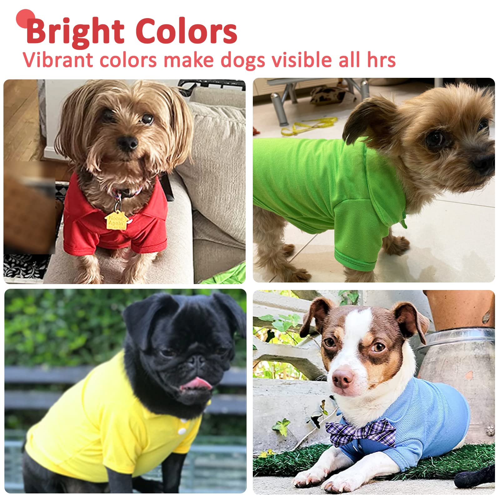 DOGGYZSTYLE four-pack green polo shirt for small dogs, breathable and festive.