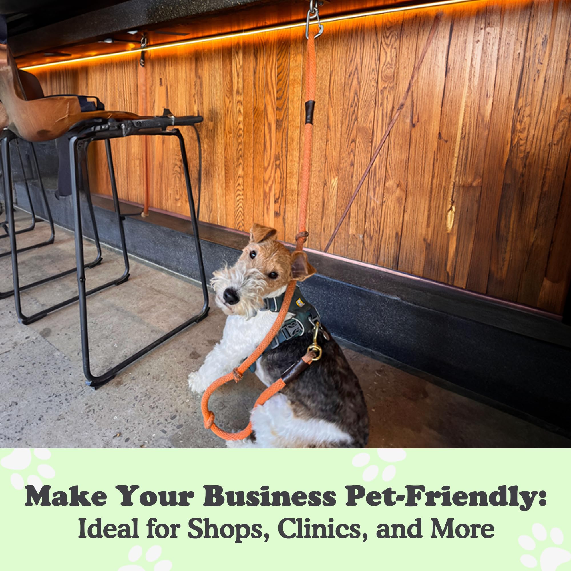 Doghook Canine Hitch indoor-outdoor use keeps leashes organized in stores.