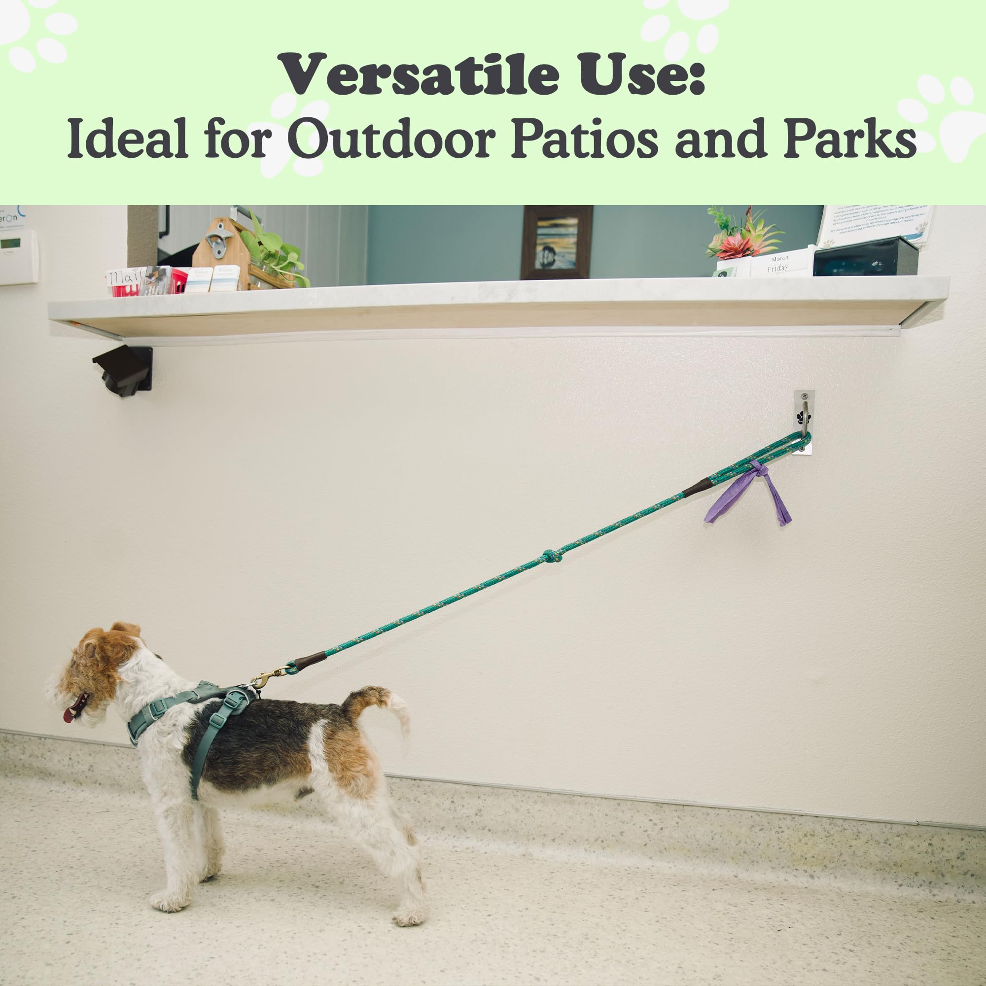 Doghook Canine Hitch ideal for restaurants and vet clinics showcasing pet-friendly service.