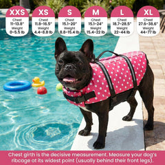 Doglay dog life jacket back view demonstrates adjustable fit and comfort.