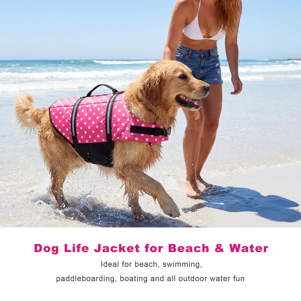 Doglay life jacket with adjustable buckles and secure straps.