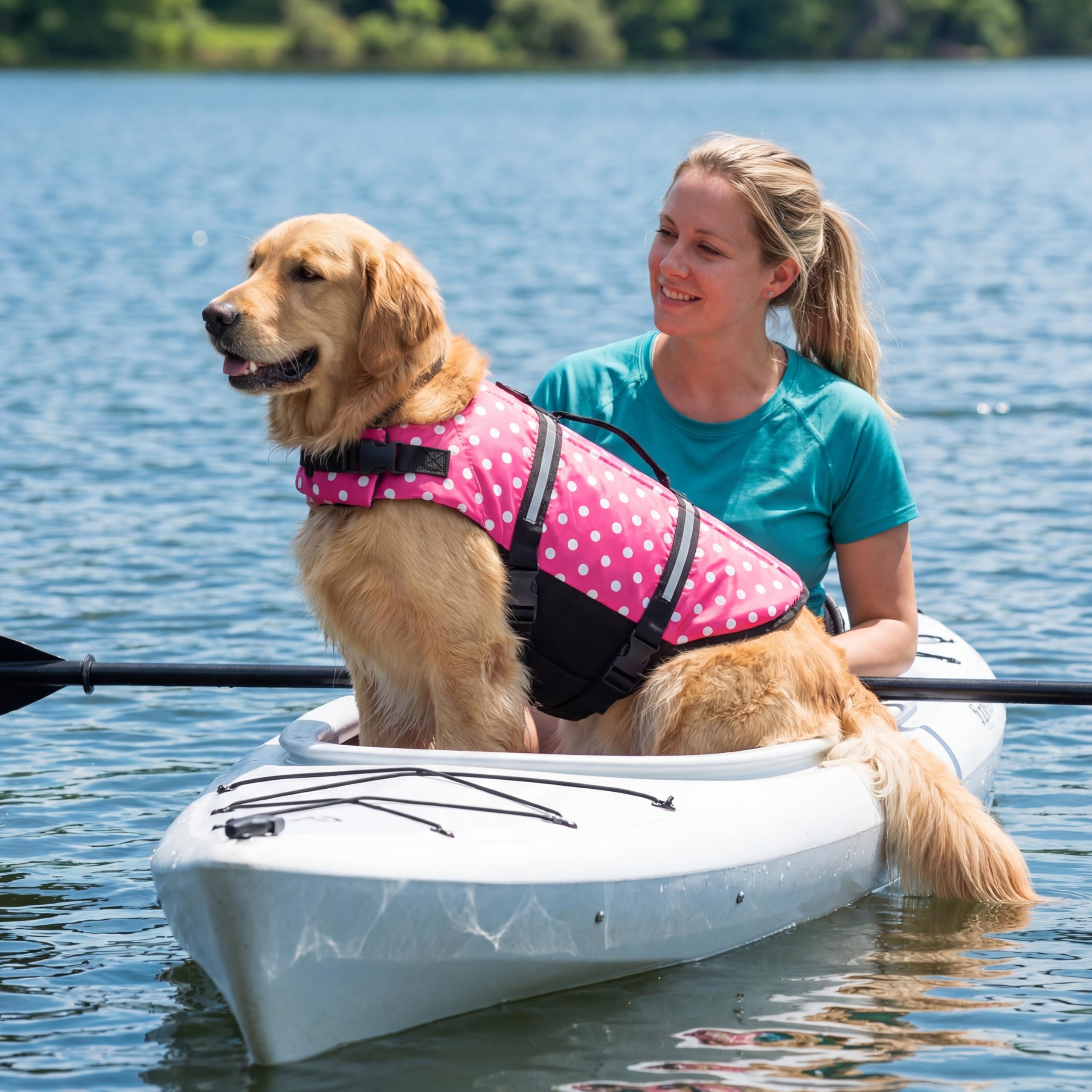 Doglay breathable mesh underbelly dries quickly after water play.