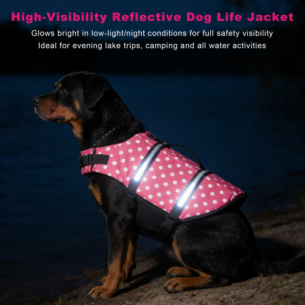 Doglay life jacket on a dog while swimming demonstrates buoyant support.