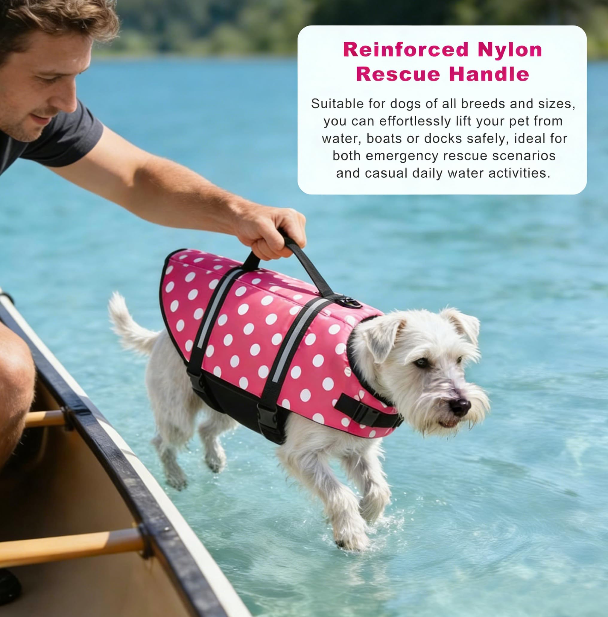 Doglay reflective strips improve visibility in low-light or foggy conditions.