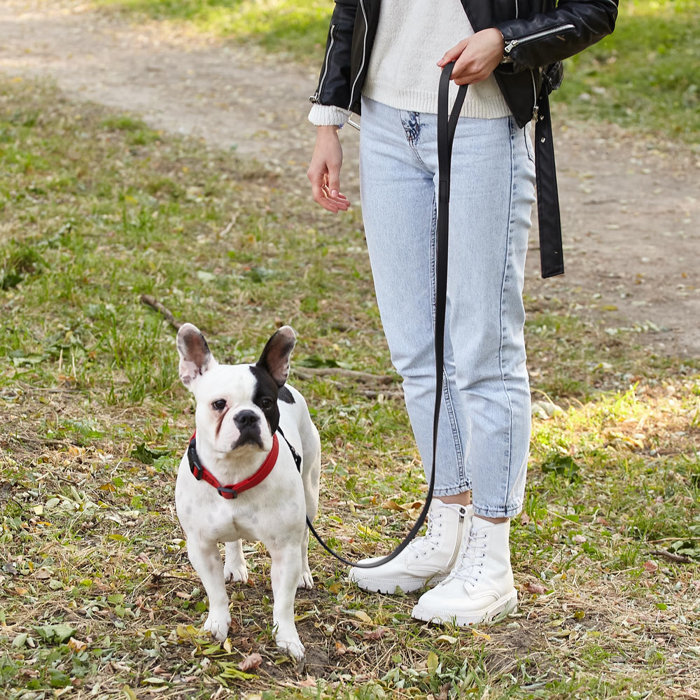 Durable Biothane core with waterproof coating on leash