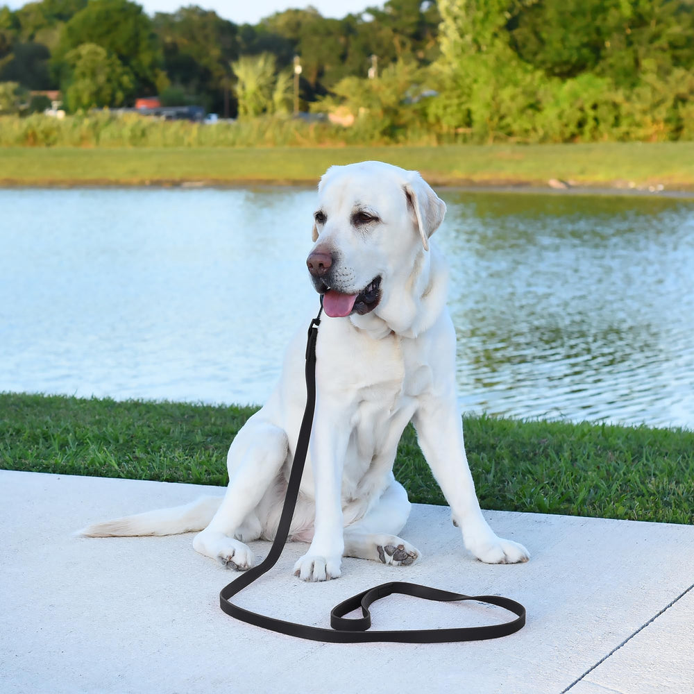 USA-made Dogline Biothane leash with logo badge