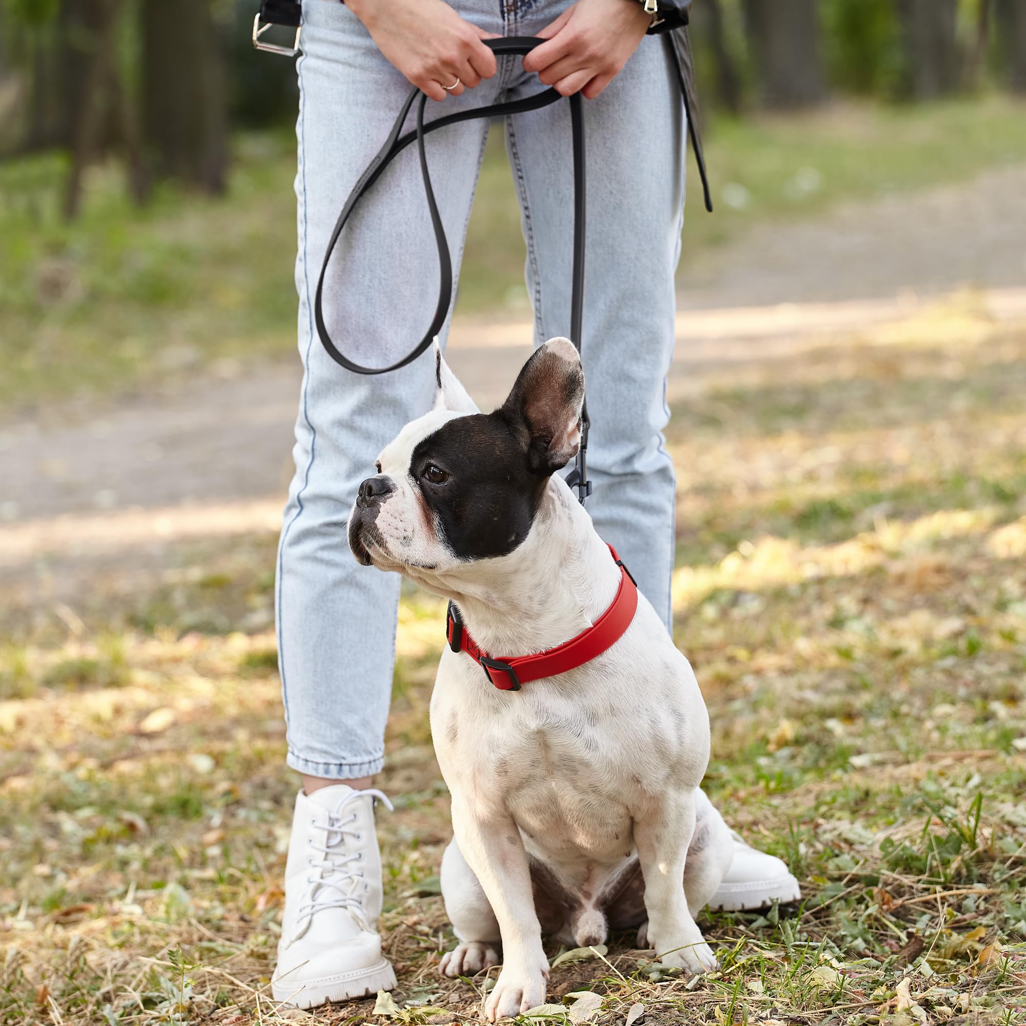 Available in 2ft, 4ft, and 6ft lengths for every dog.