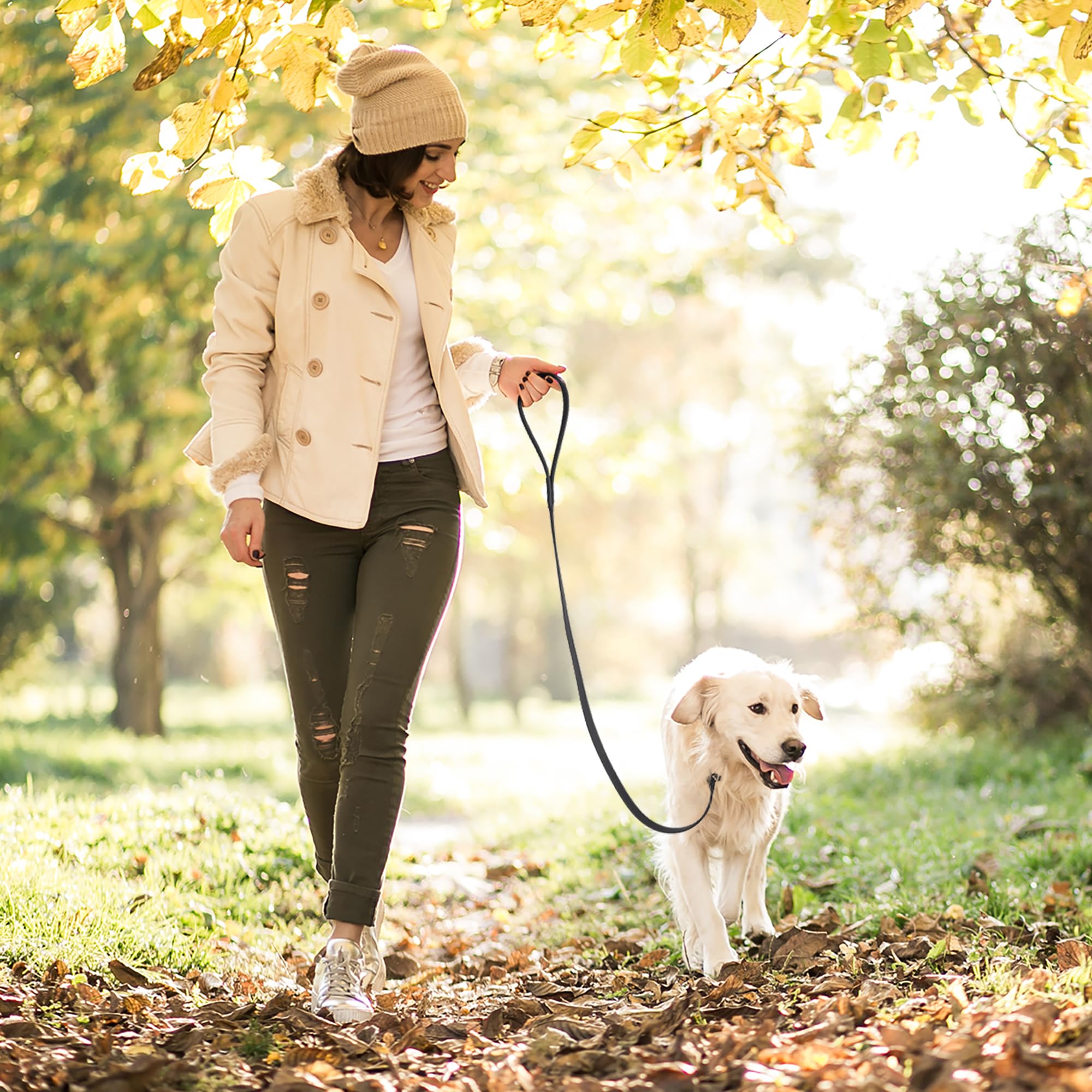 Dogline slip leash color variety demonstrates vibrant options for different dogs.