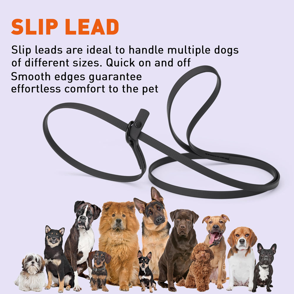 Dogline slip leash ideal for kennels, breeders, and rescues.
