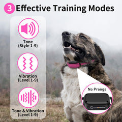 DOGLinsen three-training-modes demonstrating customizable tones and vibrations