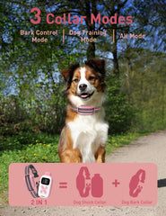 DOGLinsen bark detection sensor demonstrates automatic response for cleaner environments