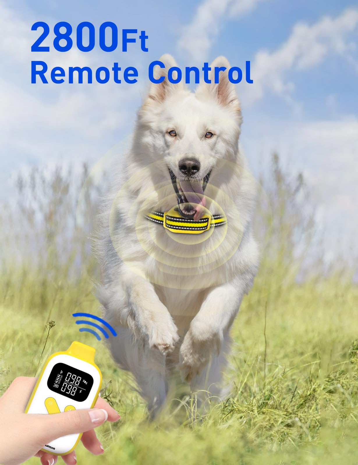 Long-lasting DOGLinsen battery life for remote and receiver modes