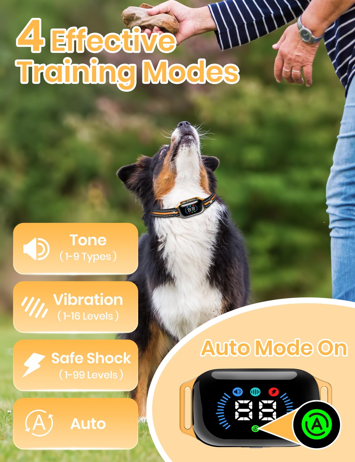 DOGLinsen combined training mode balances correction and commands for efficient learning.